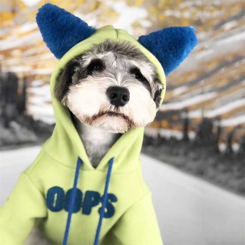 

Casual Letter Printed Autumn Sweaters Fashion Small Dog Apparel Cute Warmer Elastic Soft Pets Hoodies Cats Clothing, As pic