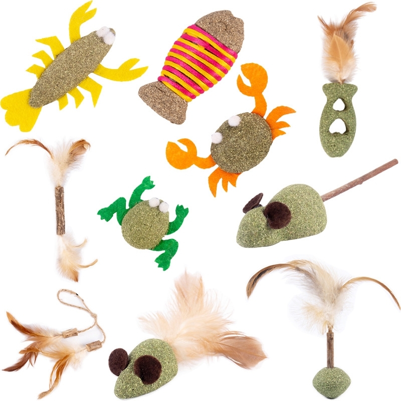 

New cat toys tease Mint wooden days Polygonum stick self hi bite toy supplies