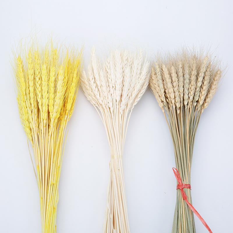 

Decorative Flowers & Wreaths 100Pcs/lot Real Wheat Ear Flower Natural Dried For Wedding Home Party Decoration DIY Craft Scrapbook Decor Bouq