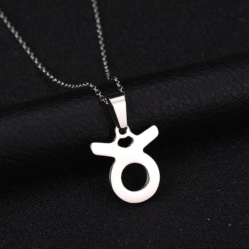 

pendant necklaces twelve constellation necklace glossy no decoration silver color stainless steel for women and men