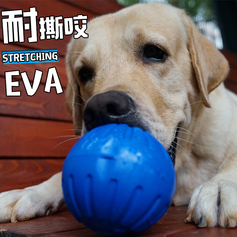 

Pet toys bite resistant floating rubber golden border nomad Samo interactive puzzle ball medium and large dog products