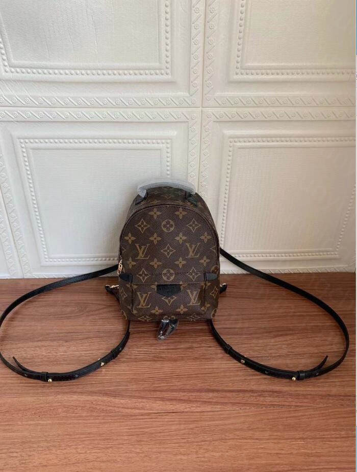 

LV Louis bag Vitton ysl Fashion Unisex Gifts Luxurys Designers Backpacks Men Day Packs Palm Springs Mini Leather Ba