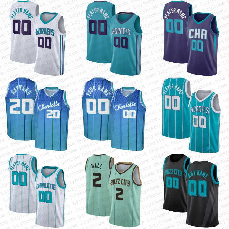 

Custom LaMelo 2 Ball Miles 0 Bridges James 5 Bouknight City Basketball Jerseys Terry 3 Rozier III charlottes Gordon 20 Hayward Kelly City, My store(lzyhome)