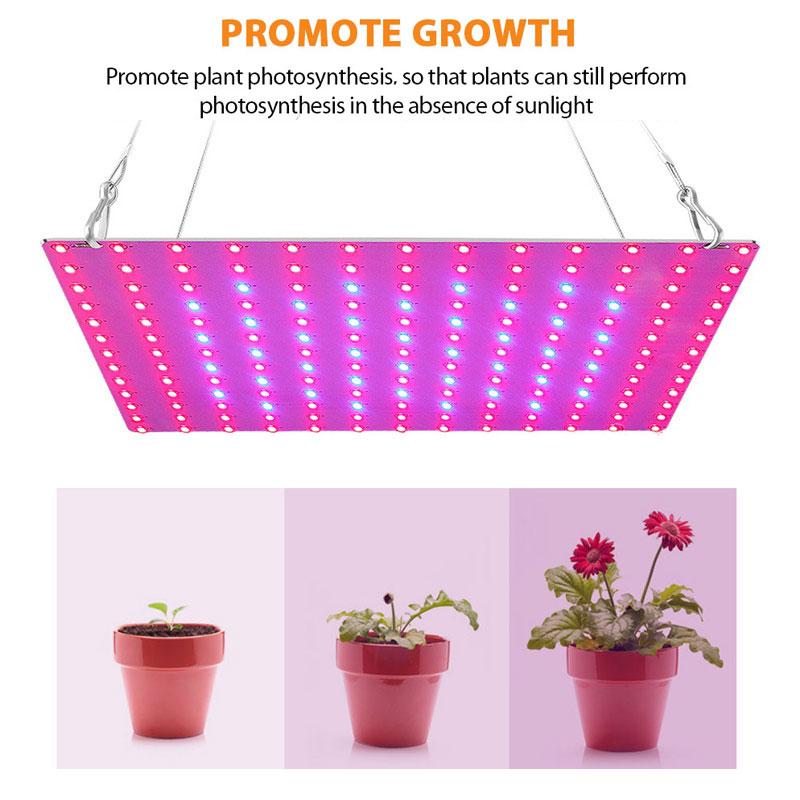 

Grow Lights 1PC Bare Board LED Plant Growth Light Red And Blue Spectrum Fill Planting Indoor Lamp EU/UK/US Plug