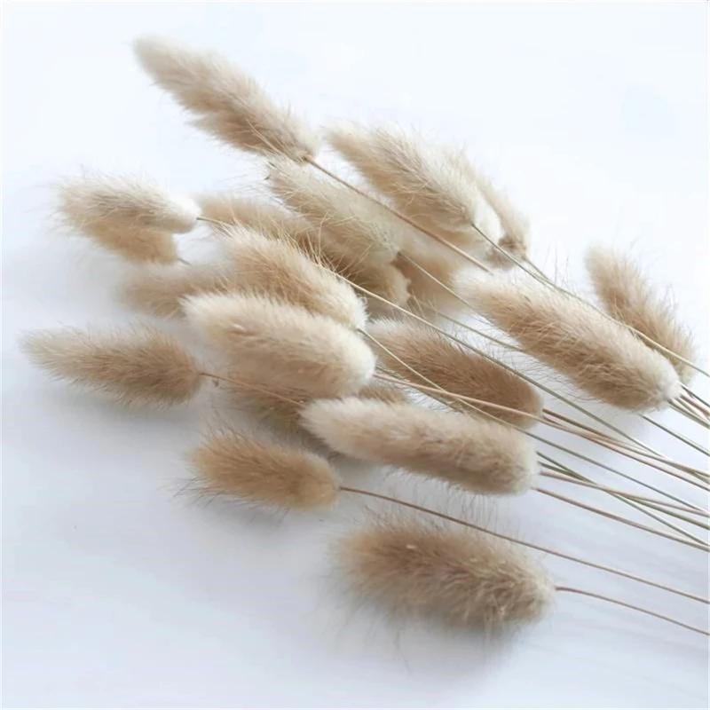 

Decorative Flowers & Wreaths Tail Natural Dried Flower Pampas Grass Bunch Real Bouquet For Po Props Flores Home Wedding Decoration DI