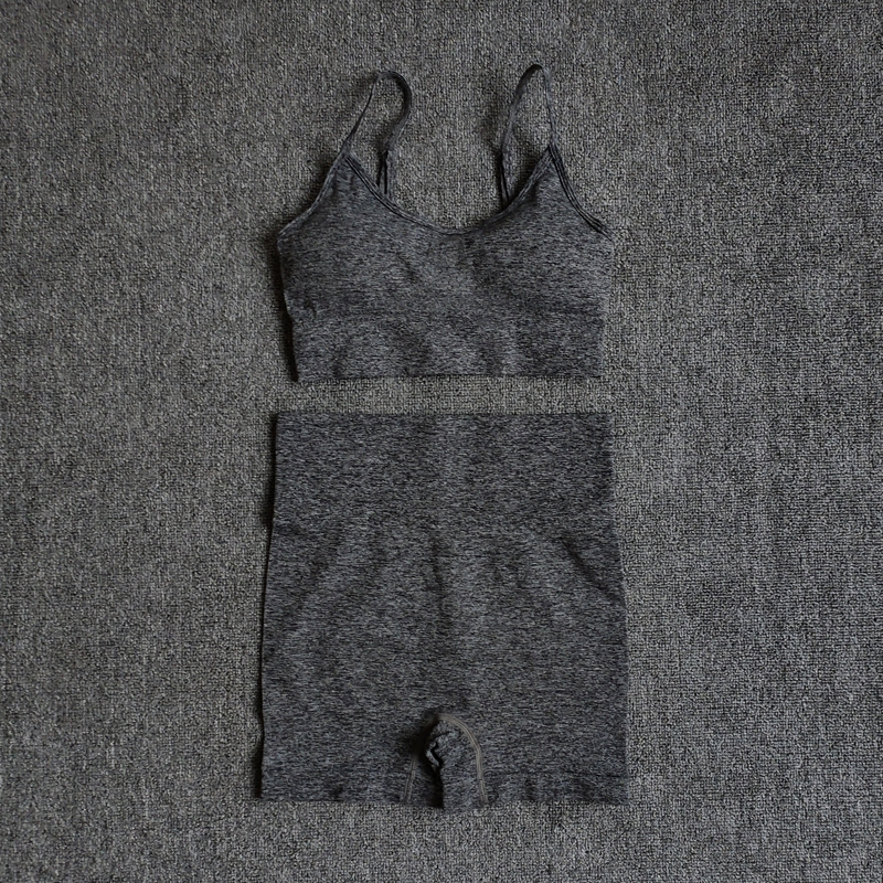 Vêtements de sport pour femmes, combinaison de sport, ensemble de Yoga sans couture, vêtements d'entraînement, soutien-gorge à soutien moyen + sh