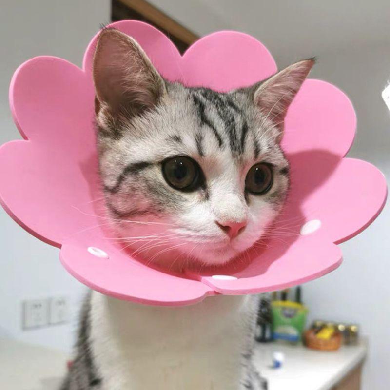 

Cat Collars & Leads Elizabethan Collar Wound Healing Protective Cone Flower Shaped Recovery For Kitten Puppy