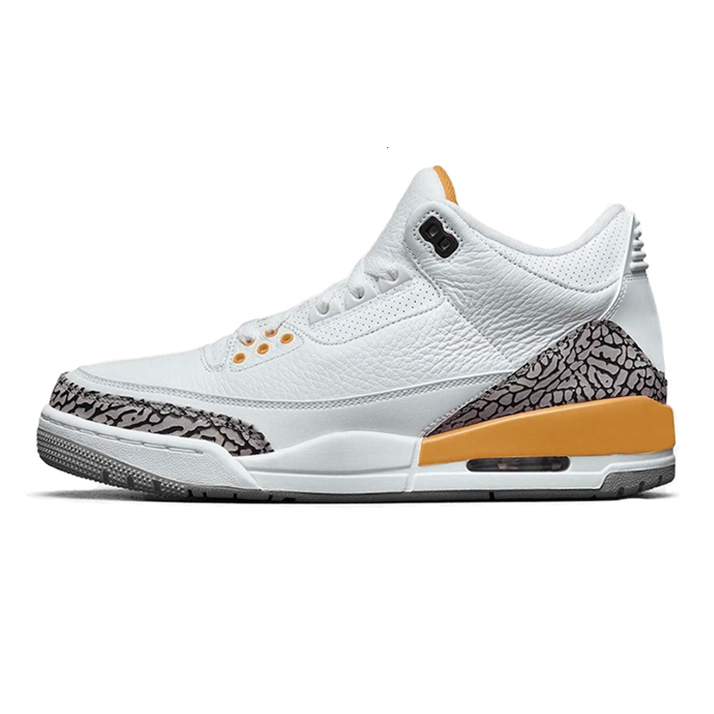 

Shoes Black White jumpman men Court Purple animal instinct tinker 3 3s athletic size 7-13