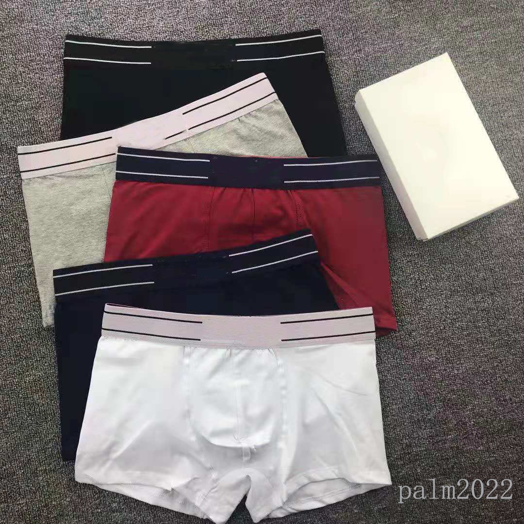 

luxurious designers Mens Ethika Underpants Paris Breathable Two tape boxes Men sexy Underpant Boxers Man Underwear, Black;white