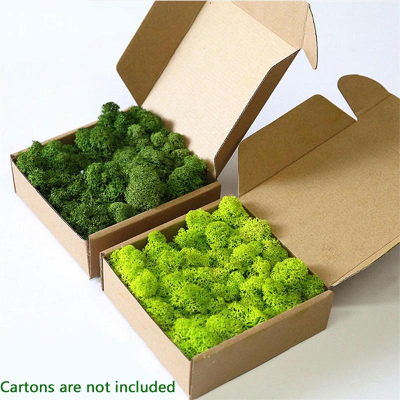 

Decorative Flowers & Wreaths Artificial Plant Eternal Life Moss / Garden Home Decoration Wall DIY Flower Material Mini Micro Landscape Acces, 14