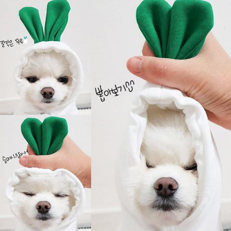 

Dog Apparel Pet Clothes Costume Jacket Autumn Winter Puppy Teddy Cat Plus Velvet Hooded Sweater Supplies White Radish Green Frog
