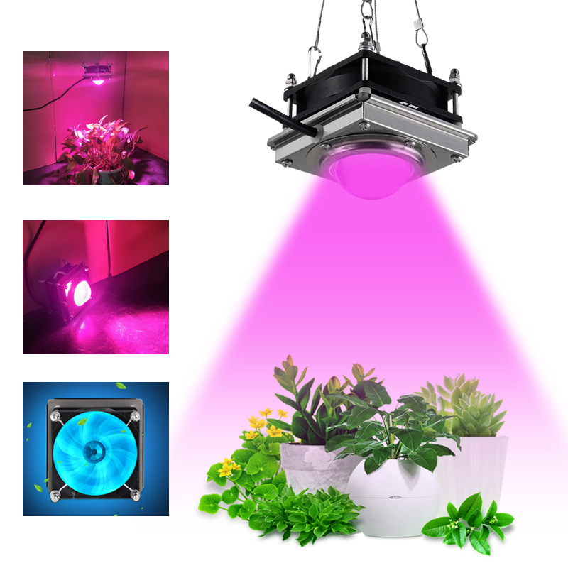 

cob lead grow lights control full spectrum led 60W plant growth lamp indoor vegetable fleshy flower and hydroponic cultivation supplyment ou