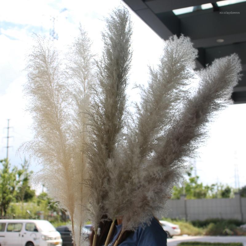 

Decorative Flowers & Wreaths 140CM 10Pcs/lot Natural Large Pampas Grass Decor Real Artificial Dried Bouquet Wedding Supplies Christmas