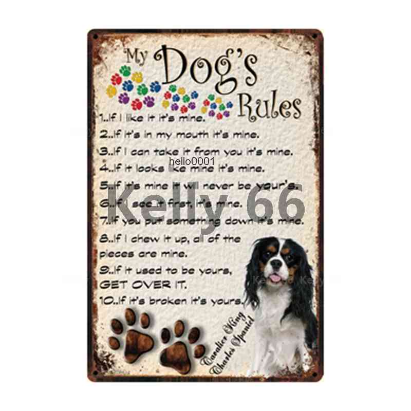 

Warning Dog Rules With Cavalier King Charles Spaniel Metal Sign Home Decor Bar Wall Art Painting 20*30 CM Size DG-17