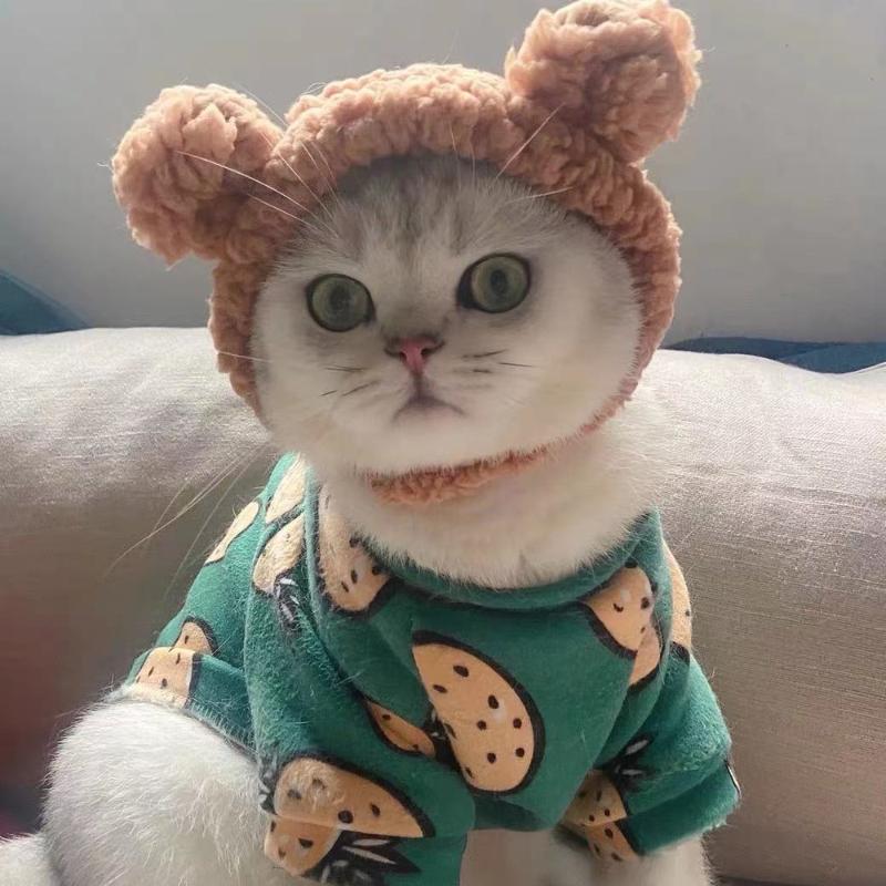 

Cat Costumes Headgear Dog Hat Birthday Dress Up Headdress Plush Funny Ears Pet Supplies Accessories