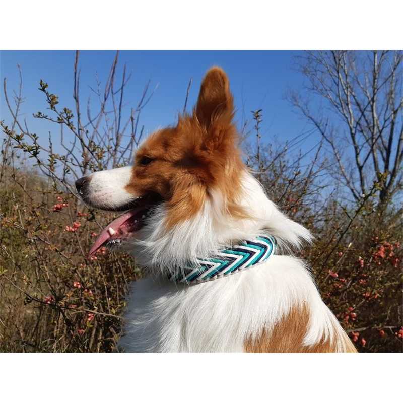 

Leashesnew wholesale 550 LB fashion arrow woven leather Dog Collars leashes pendant training pet collarBNR5