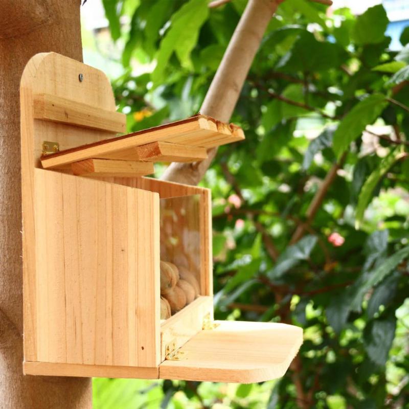 

Dog Car Seat Covers Food Feeder Natural Squirrel Bird Holder Feeding Box