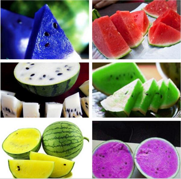 

20pcs Watermelon Flower Seeds for Patio Lawn Garden Supplies Bonsai Plants Delicious Tasty Organic Non-GMO The Germination Rate 95% Decorati