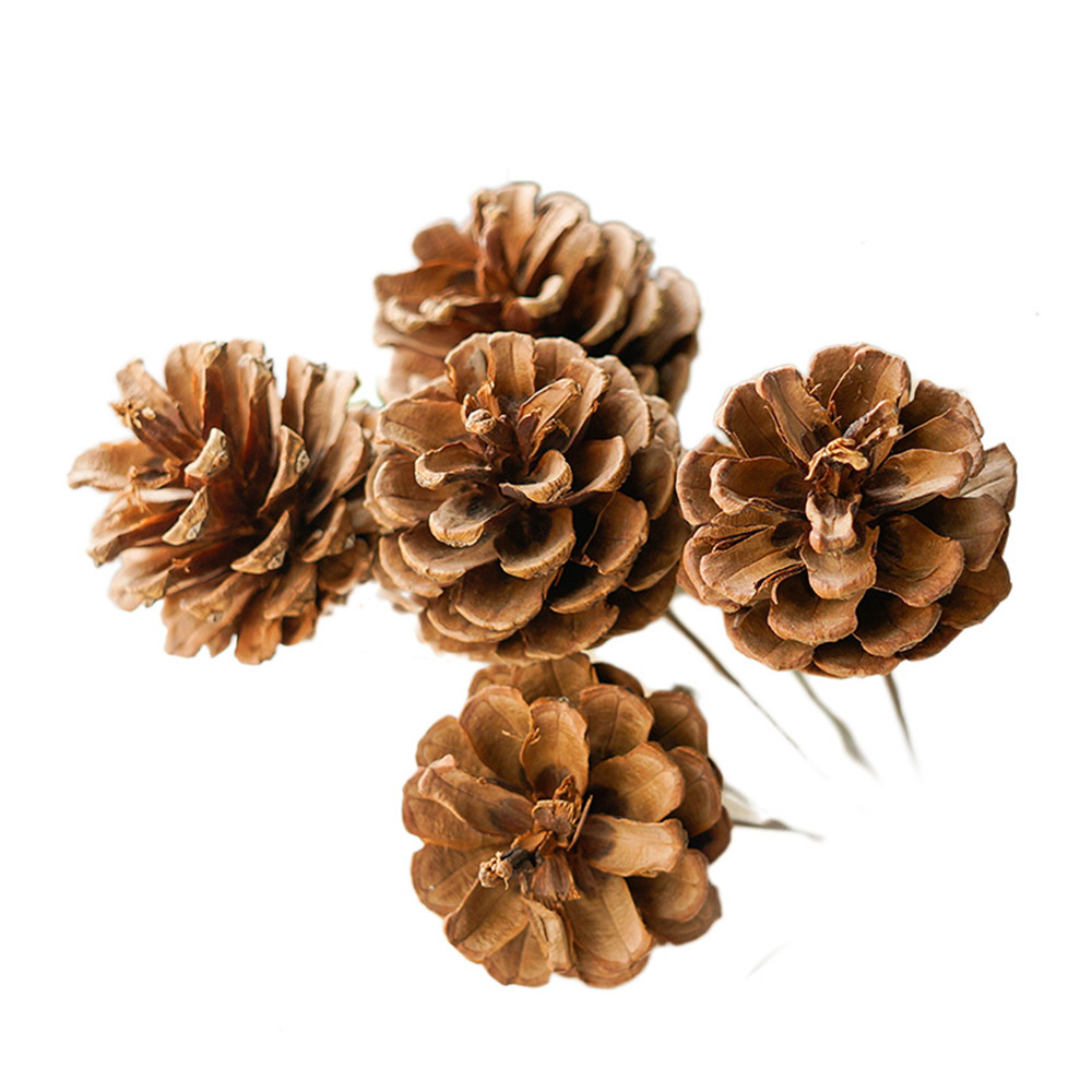 

5pcs Hand seected a natura premium quaity brown pine cones winter hoiday home decor vase fier, 5pcs brown pine cone