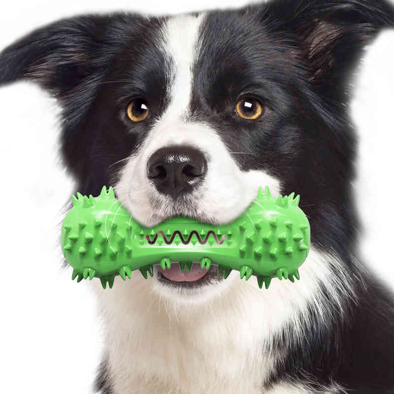 

Voice Pet Products Molars Bone Toothbrush Dog Toys