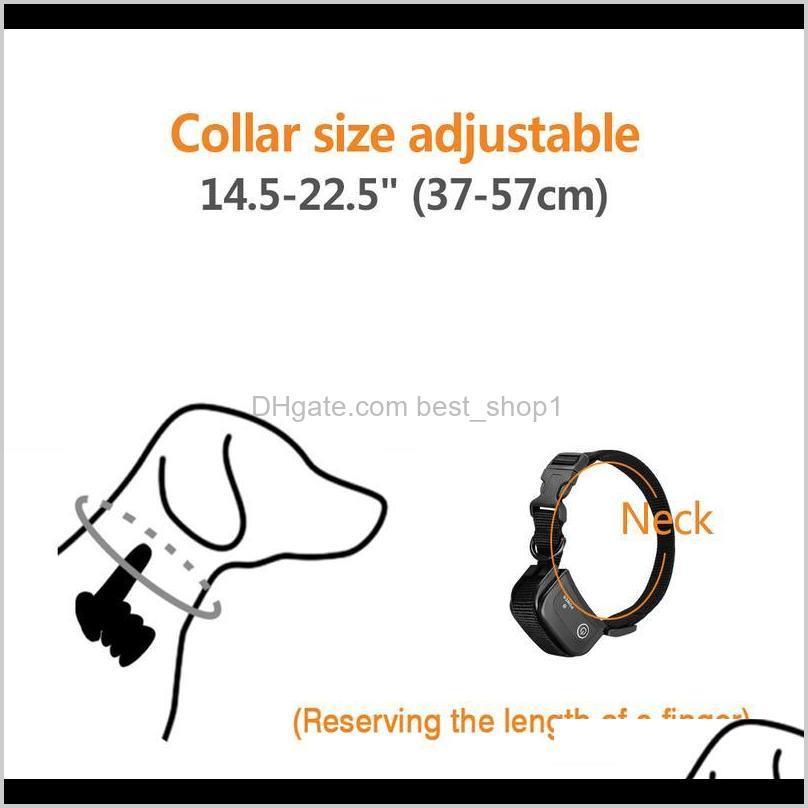 

Collars Leashes Remote Electric Pet Shock Vibration Dog Training Collar Rechargeable Waterproof Anti Barking Device With Lcd Wmtalr An Nzxvo