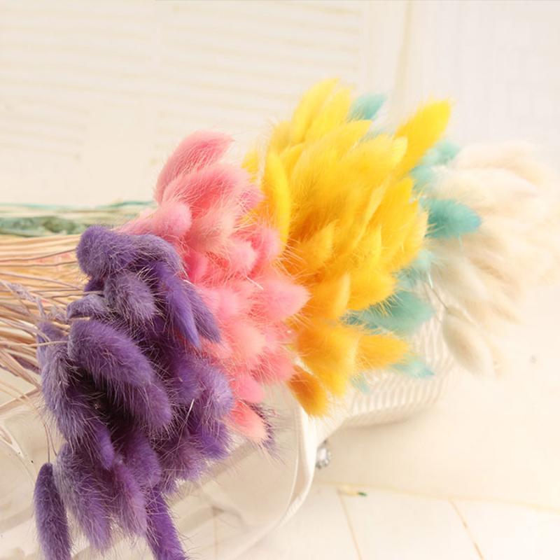 

Decorative Flowers & Wreaths 30Pcs/lot Gradient Lagurus Ovatus Natural Dried Bouquet Wedding Home Easter Decorations Tail Grass Real, Blue