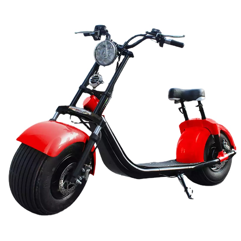 

1500W Electric Motorcycle 60V Lithium Battery Two Wheels City Bike