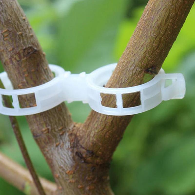 

Other Garden Supplies 100Pcs Plant Support Clips Labor-saving Long Lasting Plastic Hanging Vine Fixing Clip Home Flower Supporters