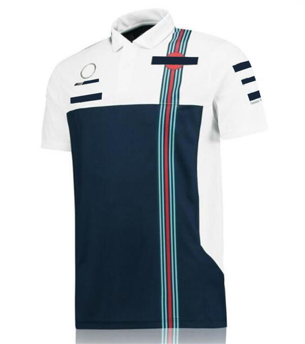 F1 team racing car short-sleeved polo shirt, men&#039;s and women&#039;s polyester quick-drying lapel T-shirt, the same style can be customized-image-684763525