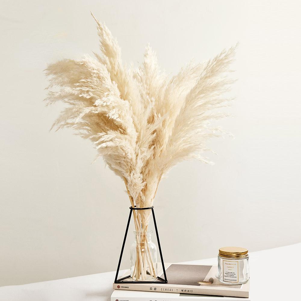 

Pampas Grass Decor White Color Fluffy Natural Dried Flowers Bleached Bouquet Boho Vintage Style for Wedding Home Christmas Decor