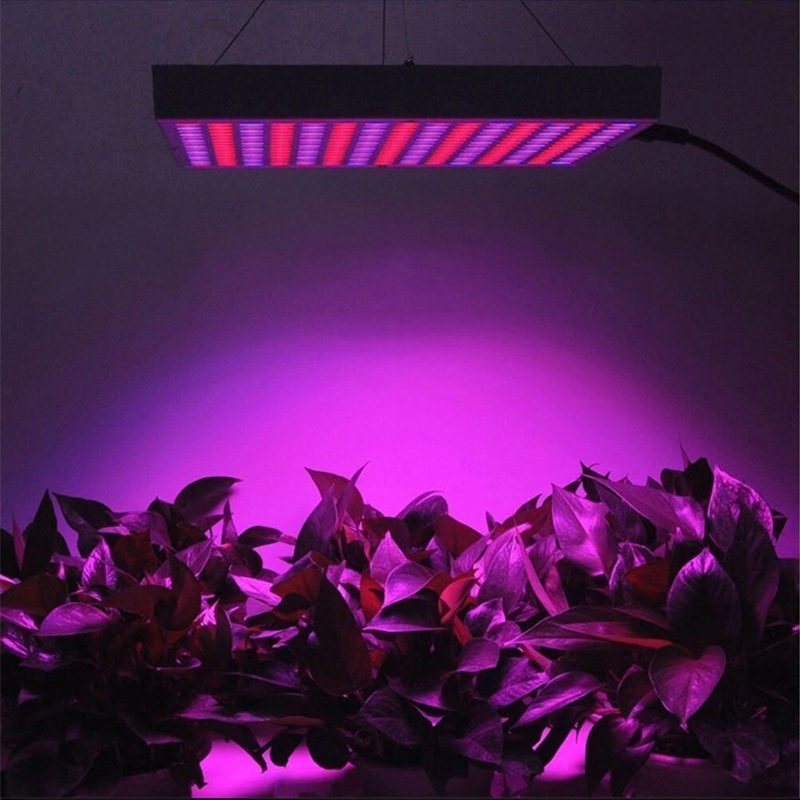 

square cob lead grow lights indoor botany growth lamps 45W 220V full spectrum 225 beads LED plant filling lamp greenhouse gardening potted vegetable cultivation