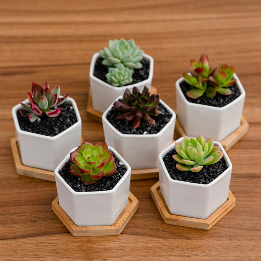 

Ceramic Bonsai Pots Mini White Porcelain Flowerpots Succulent Garden Indoor Home Nursery Planters With Chassis CYZ3125