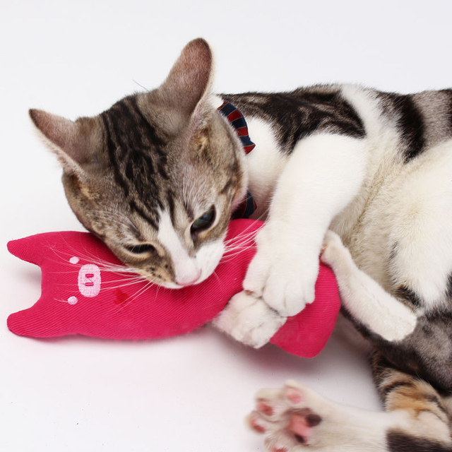 

5 colors cute interactive plush teeth grinding catnip s pet kitten chewing toy cat mint game playing pillow thumb toy