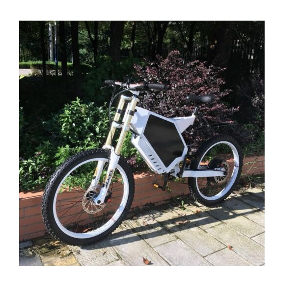 

Troya Electric Bicycle Scooter 3000W 48V Ebike Mountain Bike 65km/h