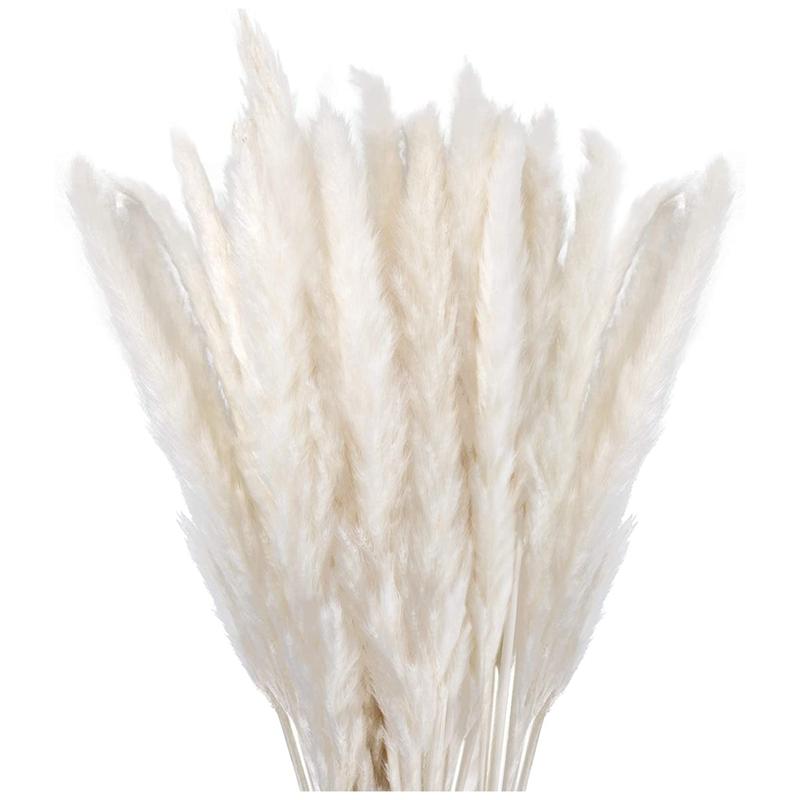 

Decorative Flowers & Wreaths Dried Pampas Grass Decor Small Fluffy 30 Pcs, 45CM Natural White For Vase, Flower Bouquet Arrangement