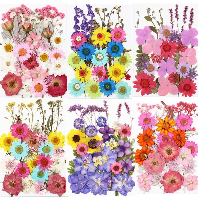 

Decorative Flowers & Wreaths 1 Pack Dried UV Resin Stickers Dry Beauty Decal For DIY Epoxy Filling Jewelry Decoration 2022