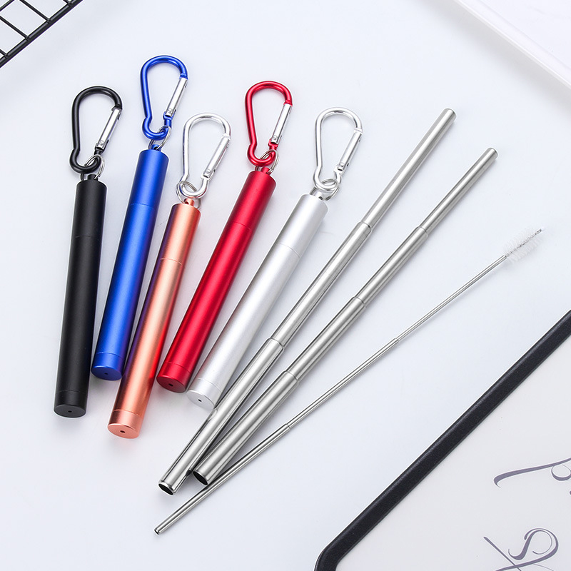 

Portable Stainless Steel Telescopic Drinking Straw Outdoor Travel Easy Cleaning Reusable Durable Straws Brush Carry Case Carabiner Camping Supplies JY0577