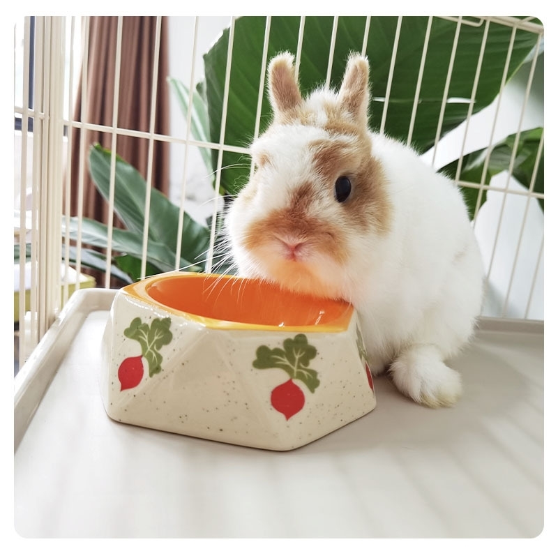 

Pet carrot ceramic rabbit chinchilla guinea Dutch pig cat dog grass rack Bowl Ceramic cartoon bowl