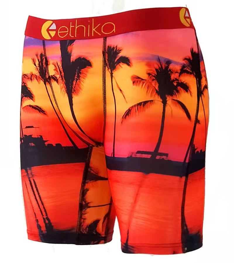 swimwears Ethika briefs men's unisex boxer shorts Breif pattern sports hip-hop rock consumer underwear skateboard street fashion stretch S-X-image-745551241