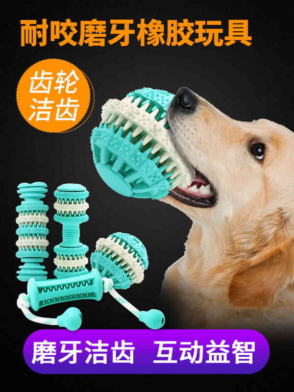 

Pet toys biting golden Teddy puppy adult molar bone small large dog food ball