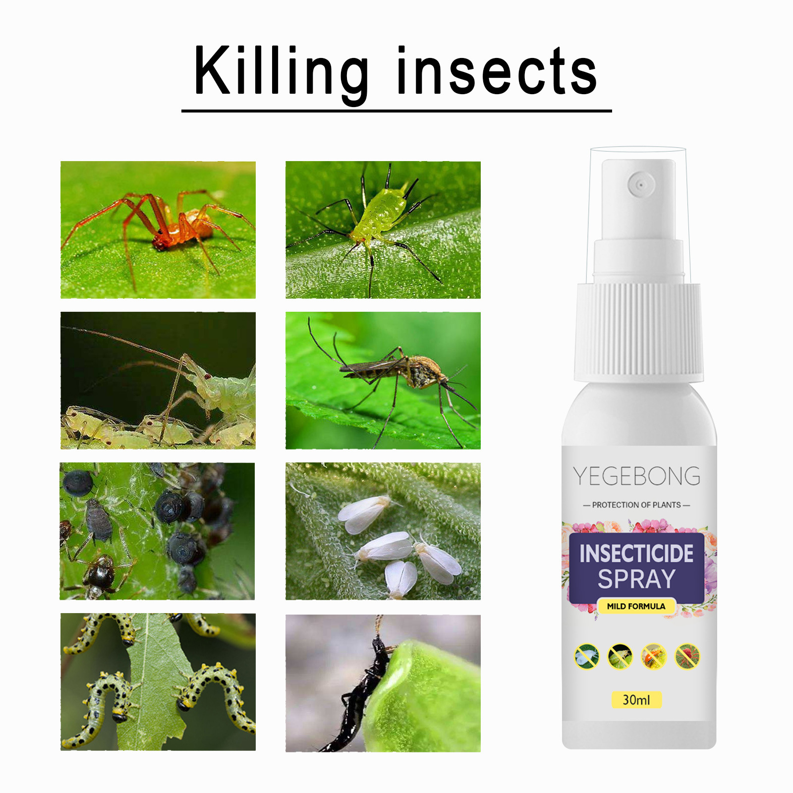 

Free freight YEGBONG OEM ODM Pest Control Flower plant insecticide potted insect spider insecticide spray