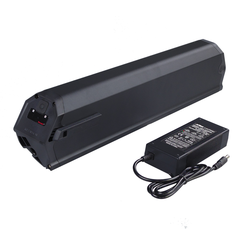 

500w 750W ebike battery pack 48V 10.4Ah 11.6Ah 15Ah 17Ah Reention Dorado ID Plus case batteries with Charger