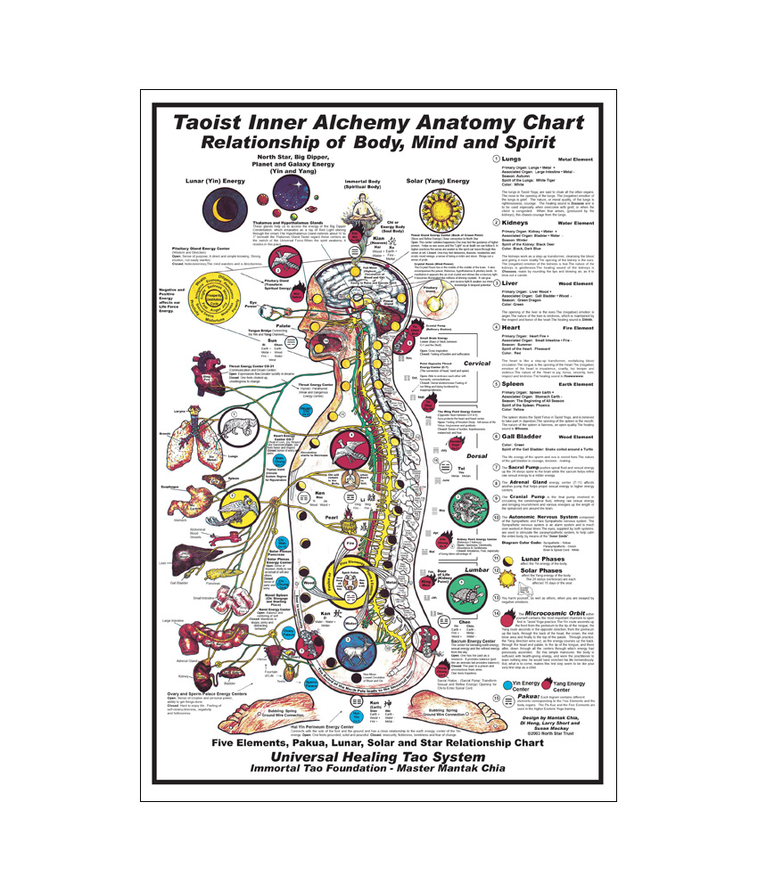 Taoist Inner Alchemy Anatomy Chart Poster Painting Print Home Decor Framed Or Unframed Photopaper Material-image-694240122