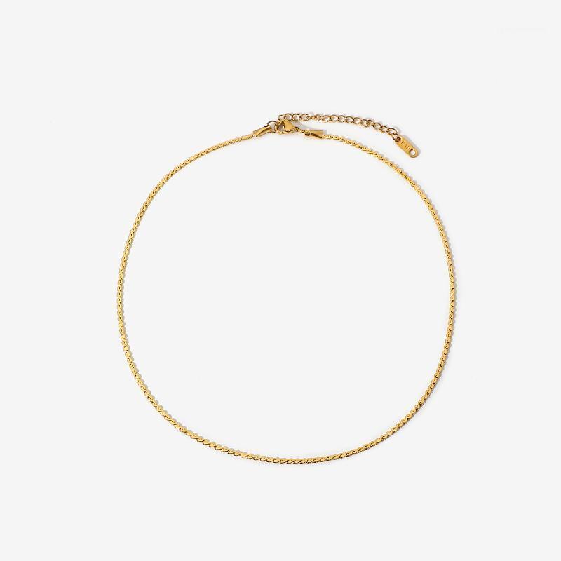 

Chains Minimalist Thin S Shape Chain Necklace For Women Gold Plated Stainless Steel Tarnish Free Female Jewelry