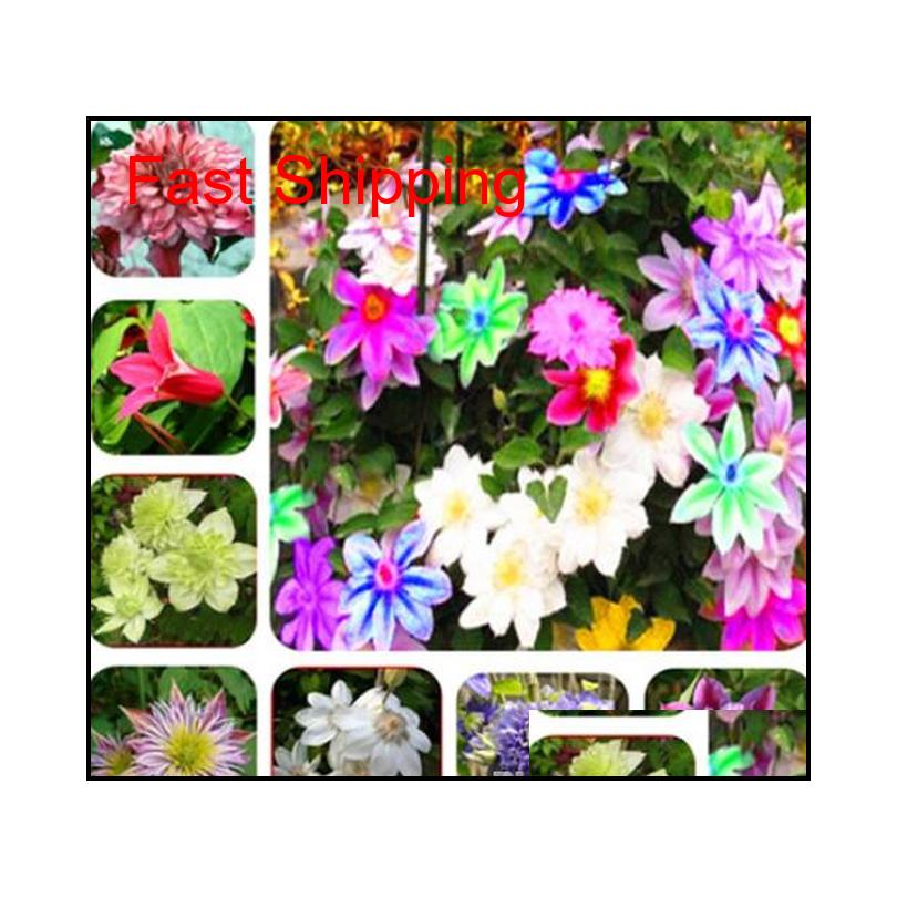 

Other Supplies Patio Lawn Home Drop Delivery 2021 100 Pcs Rare Special Beauty Seeds Potted Clematis Climbing Flower Mix Colors Light Up Your