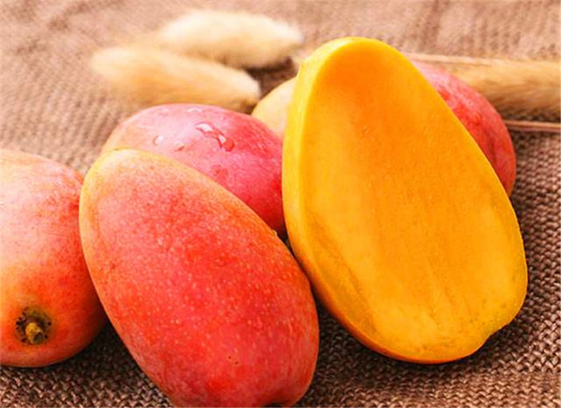 

1 Pcs / bag Rare Mini Mango Juicy Decor Artificial planters The Budding Rate 95% Aerobic Potted Natural Growth Variety of Colors Organic Non-GMO Delicious Tasty