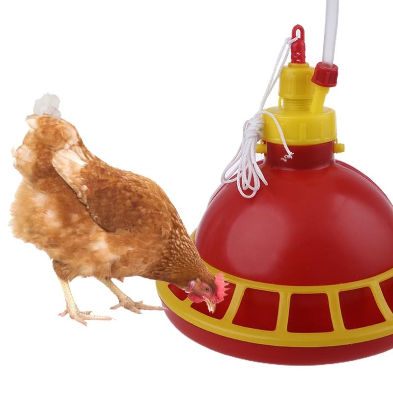 

Other Bird Supplies Round Chicken Drinking Fountain Device Hanging Cup Waterer Bowl Poultry Drinker