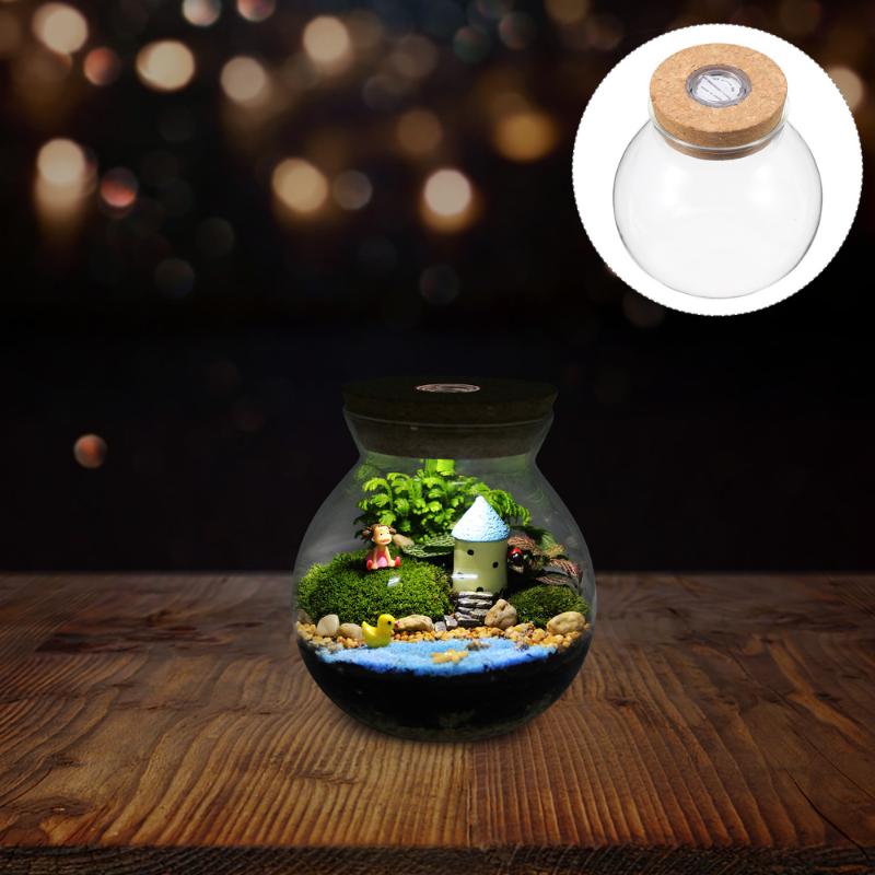 

Vases DIY Landscape Terrarium Bottle Container Glass