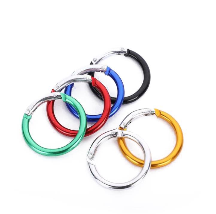 

Circle Round Carabiner Camping Spring Snap Clip Hook Keychain Camping Climbing Hiking Outdoor Tools SN4421
