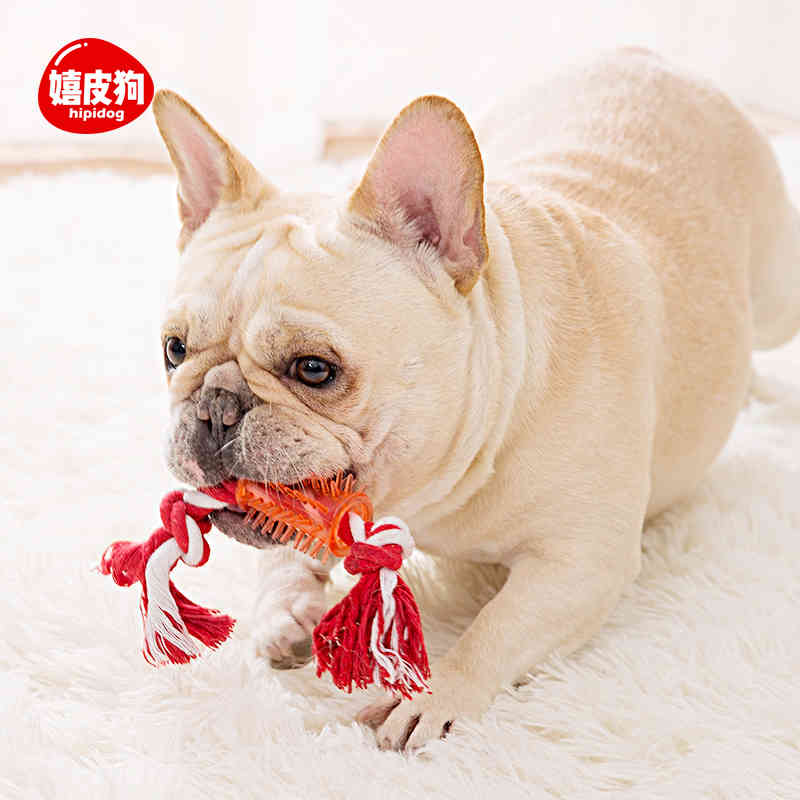 

Molars bone rope toys cleaning mouth dog toy Teddy's anti bite ball pet products